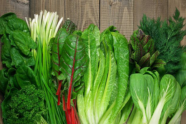 Weight Loss Diet